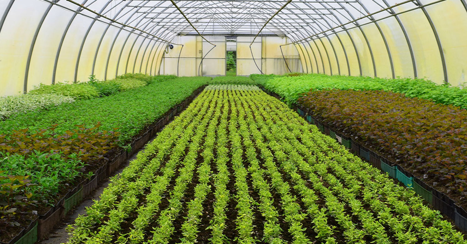 Potting Soil / Greenhouse Media Penn Valley Farms